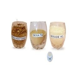 Ibogaine Iboga Online 35 - Research Peptide shop Ibogaine Iboga Online 35