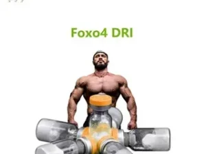 Buy FOXO4-DRI Online