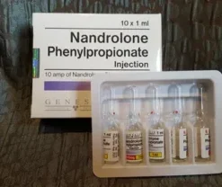 Nandrolone Phenylpropionate