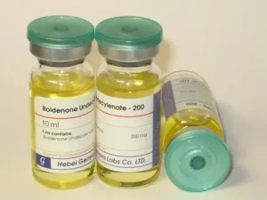 Buy EQUIPOISEBU Online